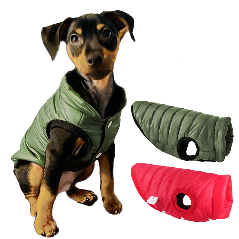 Winter Clothing In French - Sıcak Pet Köpek Yelek Ceket Sonbahar