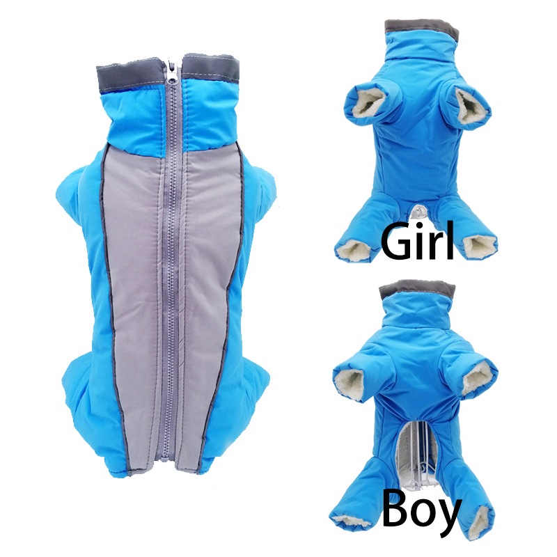 Winter Clothing In French - Kış Pet köpek giysileri süper sıcak