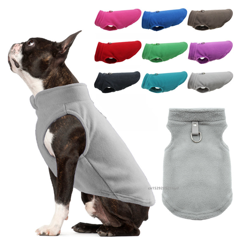 Winter Clothing In French - Kış Sıcak Köpek Giysileri evcil hayvan