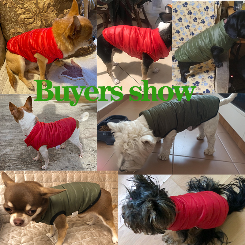 Sıcak Pet Köpek Yelek Ceket So - Winter Clothing In French incelemesi ve fiyatı