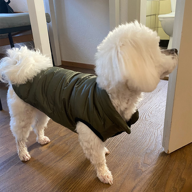Sıcak Pet Köpek Yelek Ceket So - Winter Clothing In French incelemesi ve fiyatı