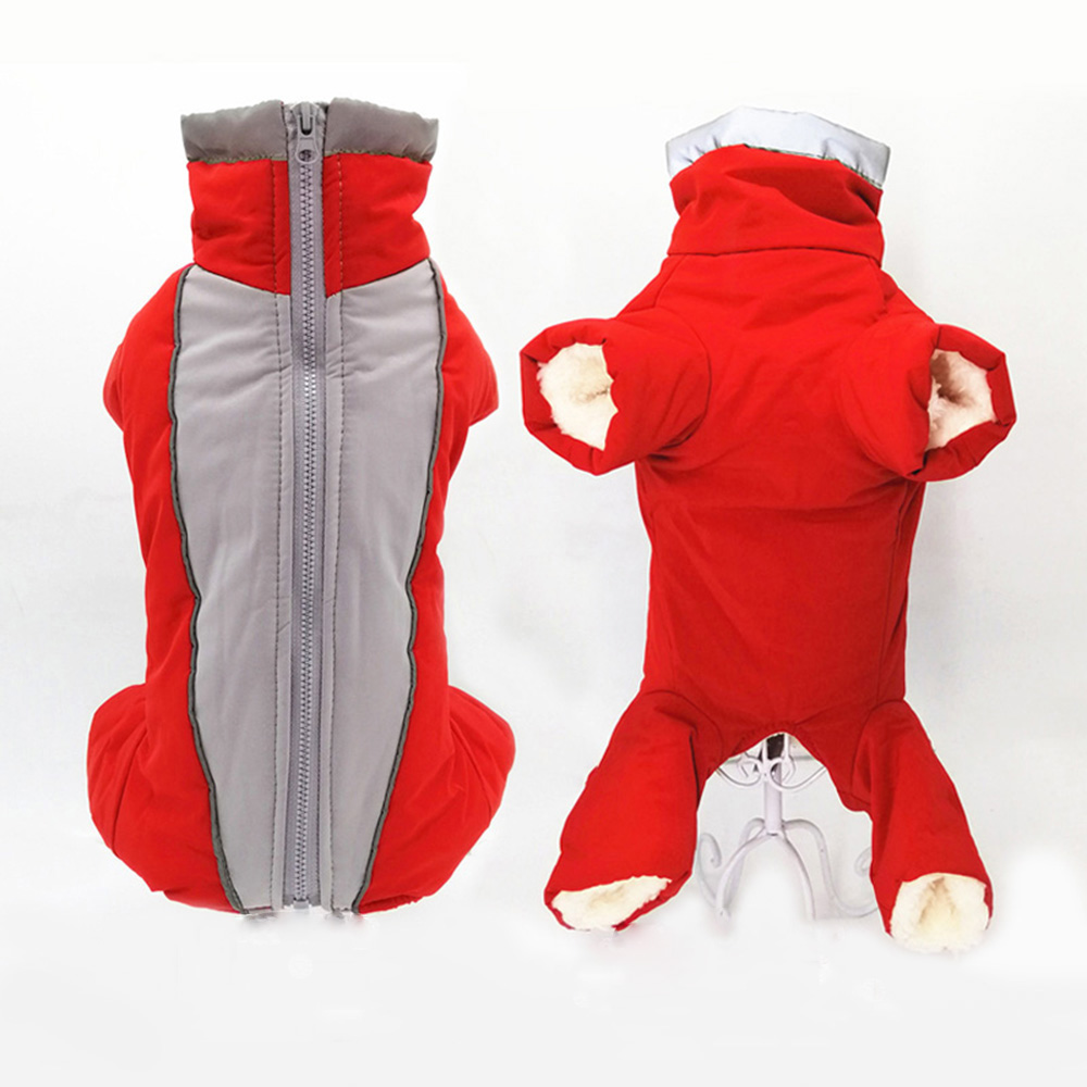 Kış Pet köpek giysileri süper  - Winter Clothing In French incelemesi ve fiyatı