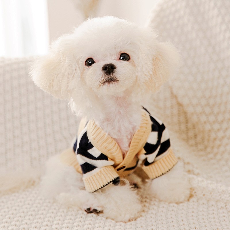 Lüks Köpek Giysileri Cadılar B - Winter Clothing In French incelemesi ve fiyatı